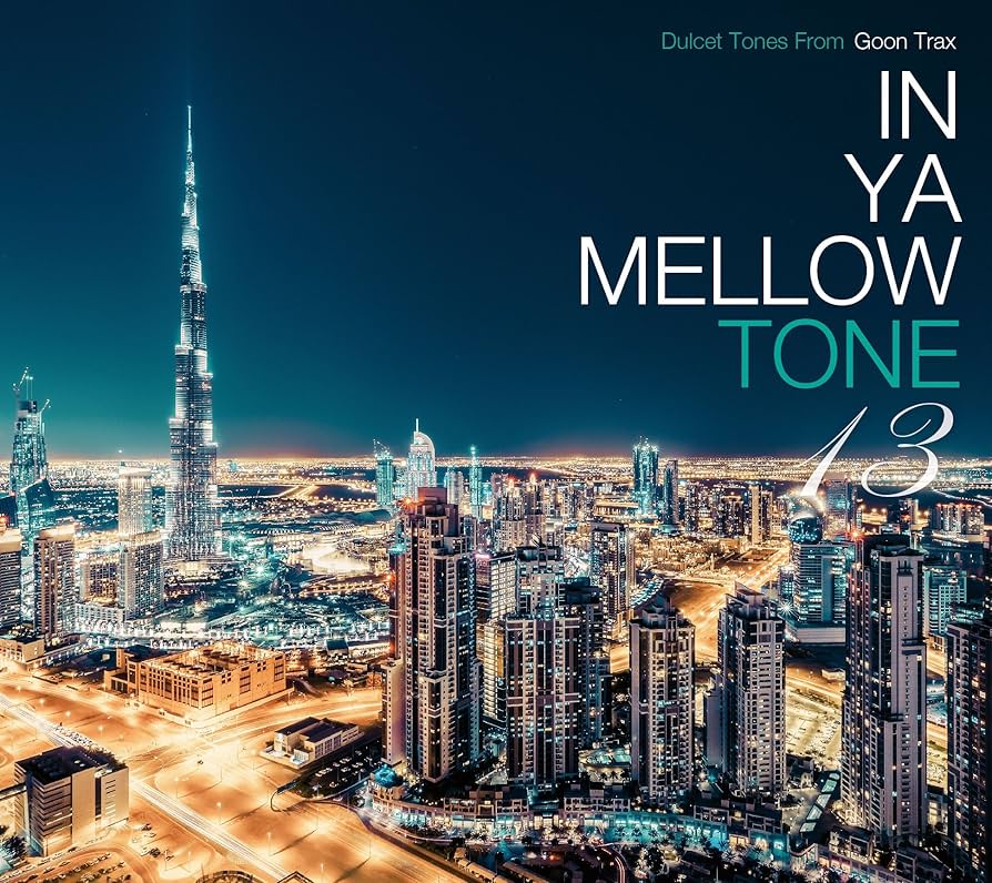 『ＩＮ  ＹＡ  ＭＥＬＬＯＷ  ＴＯＮＥ』ＣＤ ×２５枚セット IN YA MELLOW TONE』CD ×25枚セット Various